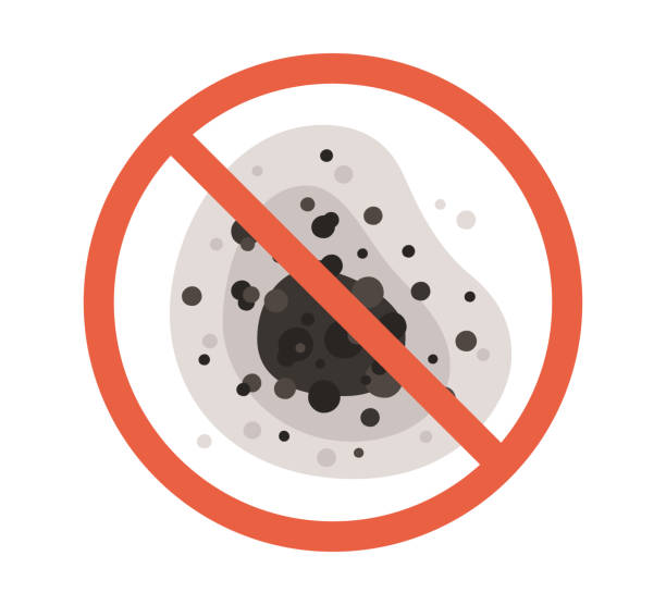 Best Mold Documentation for Insurance Claims  in Oakhurst, NJ